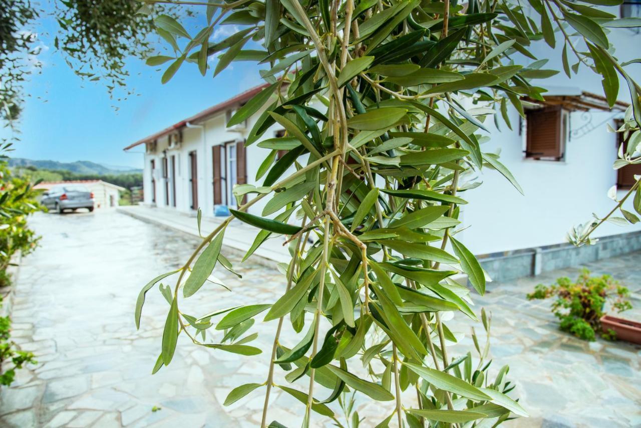Eleonas Holiday Home Apartment Agios Stefanos Avliotes  Exterior photo